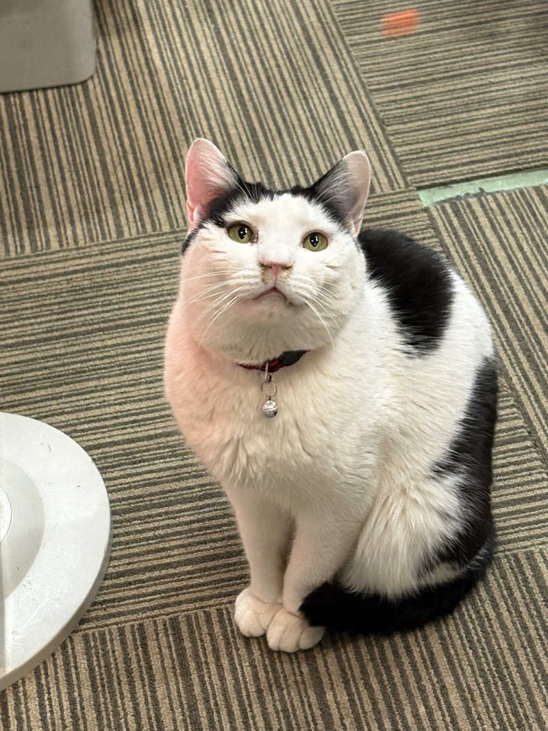 しろくまさんの行田・湯本天然温泉 茂美の湯のサ活写真