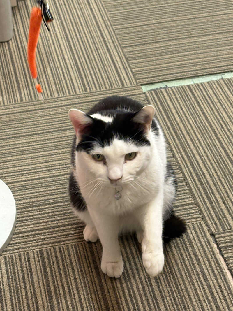 しろくまさんの行田・湯本天然温泉 茂美の湯のサ活写真