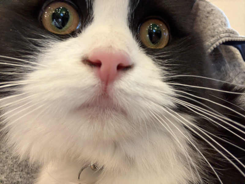 しろくまさんの行田・湯本天然温泉 茂美の湯のサ活写真