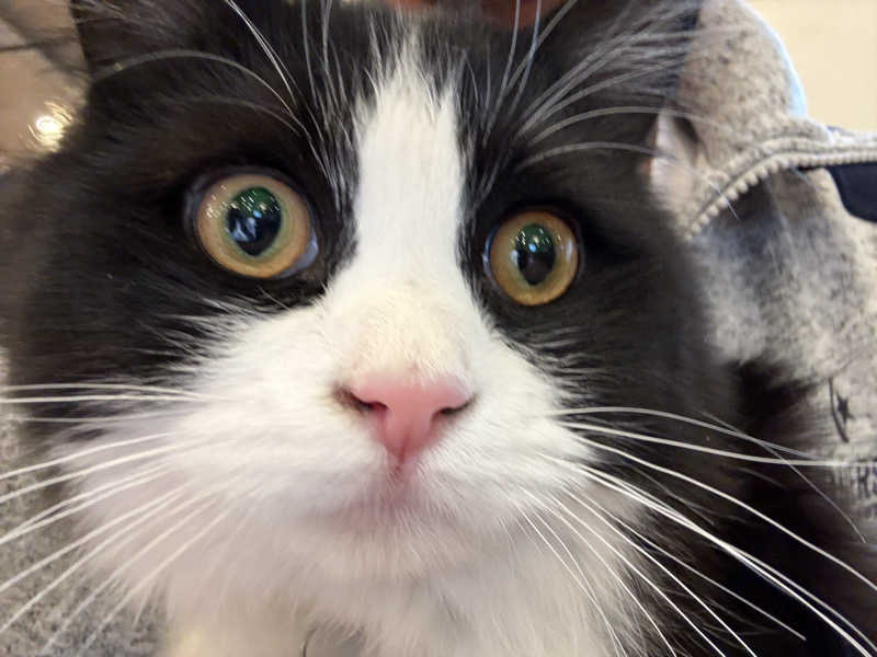 しろくまさんの行田・湯本天然温泉 茂美の湯のサ活写真