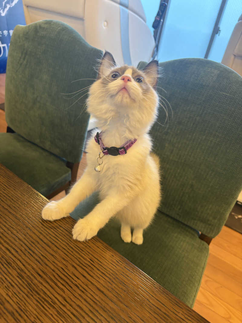 しろくまさんの行田・湯本天然温泉 茂美の湯のサ活写真