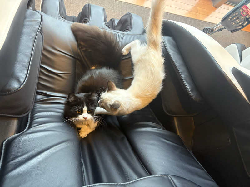 しろくまさんの行田・湯本天然温泉 茂美の湯のサ活写真