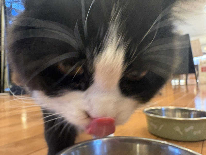 しろくまさんの行田・湯本天然温泉 茂美の湯のサ活写真