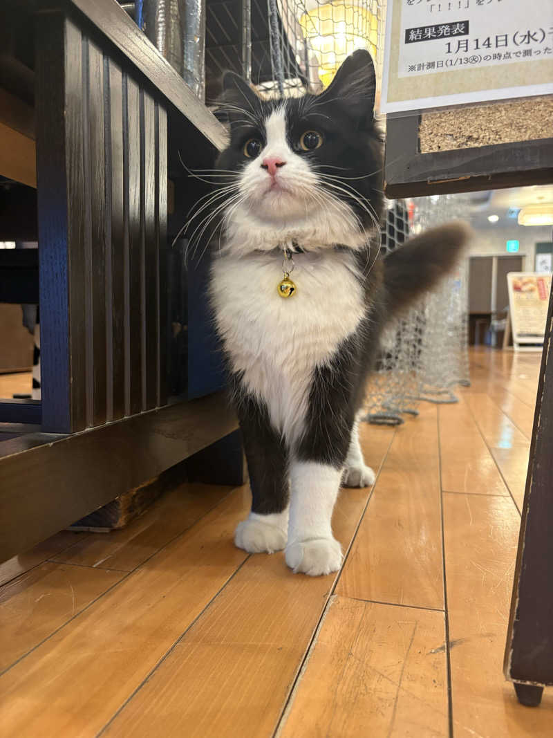 しろくまさんの行田・湯本天然温泉 茂美の湯のサ活写真
