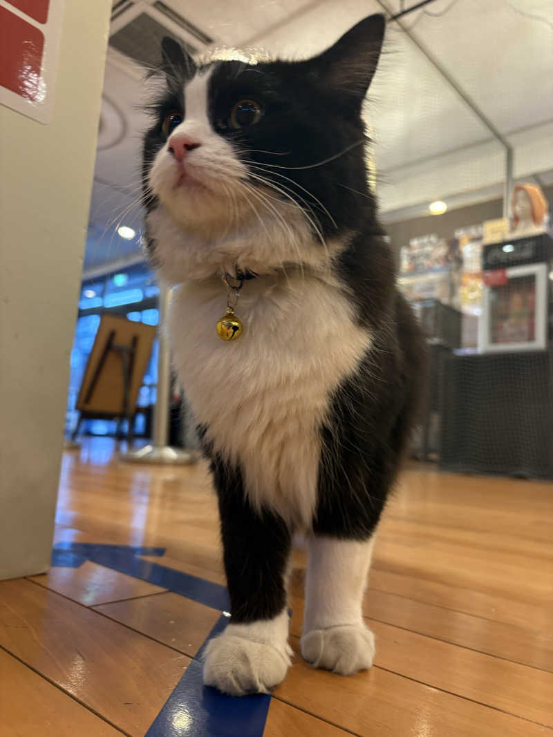 しろくまさんの行田・湯本天然温泉 茂美の湯のサ活写真