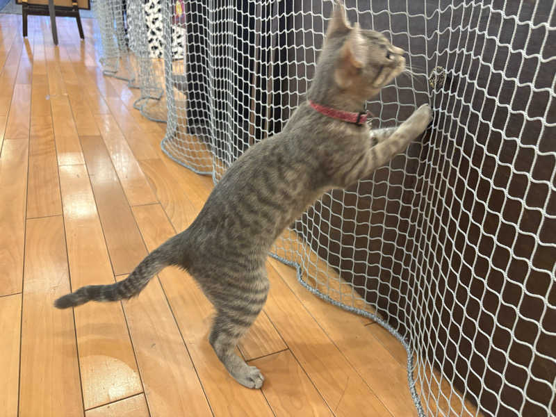 しろくまさんの行田・湯本天然温泉 茂美の湯のサ活写真
