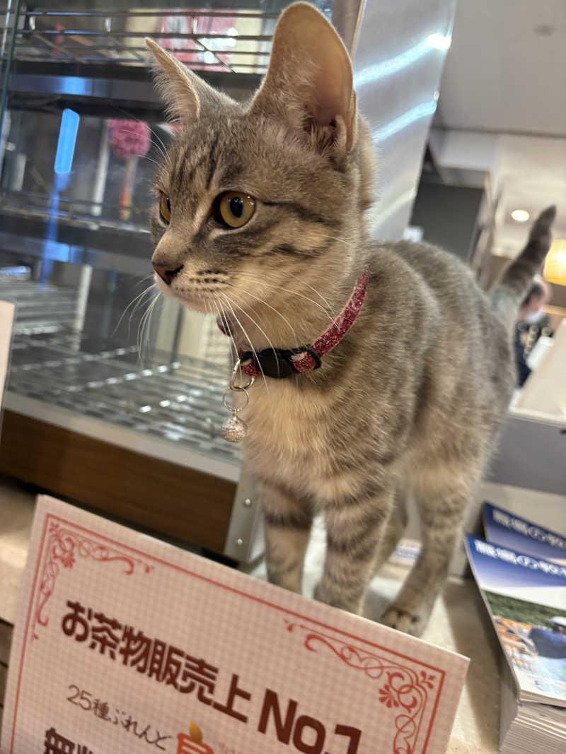 しろくまさんの行田・湯本天然温泉 茂美の湯のサ活写真