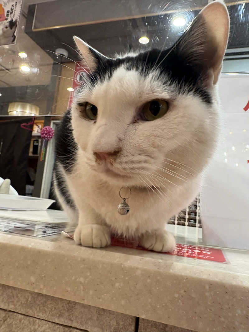 しろくまさんの行田・湯本天然温泉 茂美の湯のサ活写真