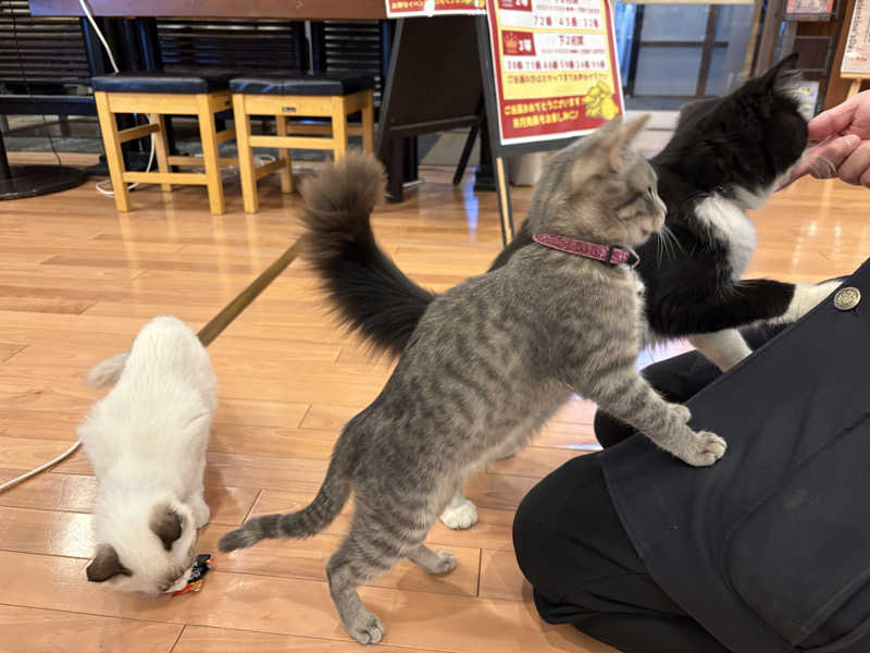 しろくまさんの行田・湯本天然温泉 茂美の湯のサ活写真