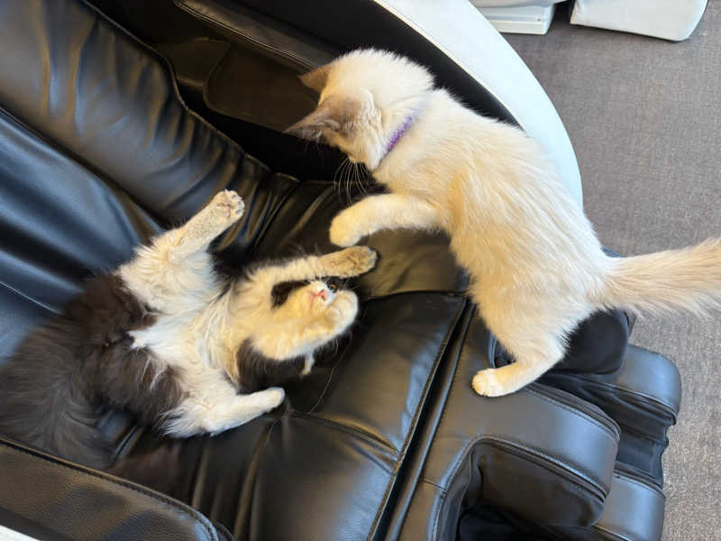 しろくまさんの行田・湯本天然温泉 茂美の湯のサ活写真