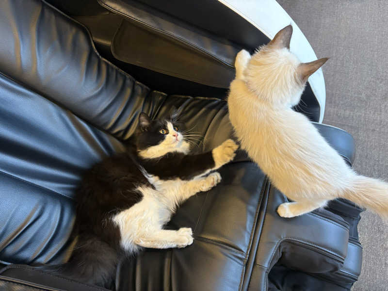 しろくまさんの行田・湯本天然温泉 茂美の湯のサ活写真