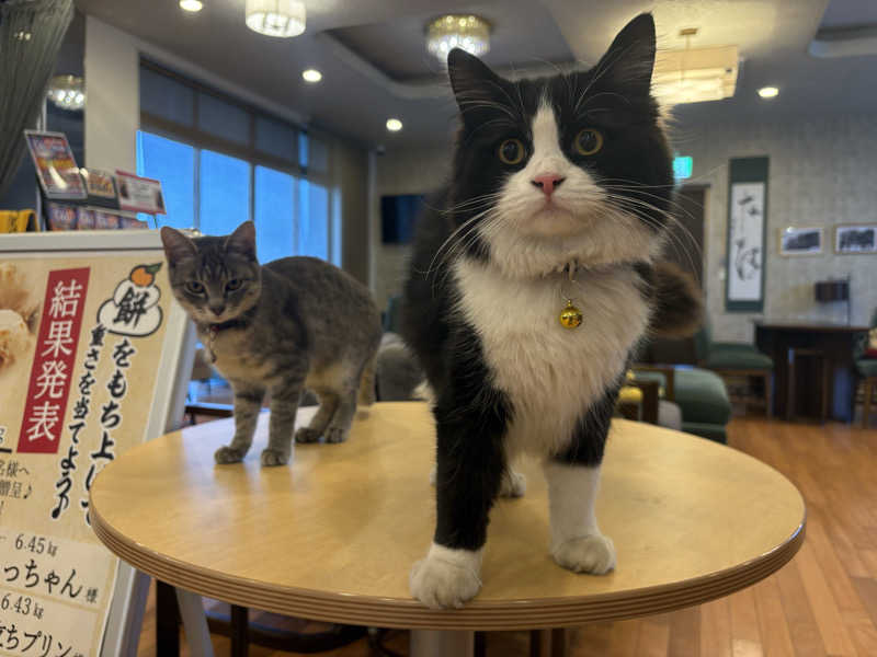 しろくまさんの行田・湯本天然温泉 茂美の湯のサ活写真