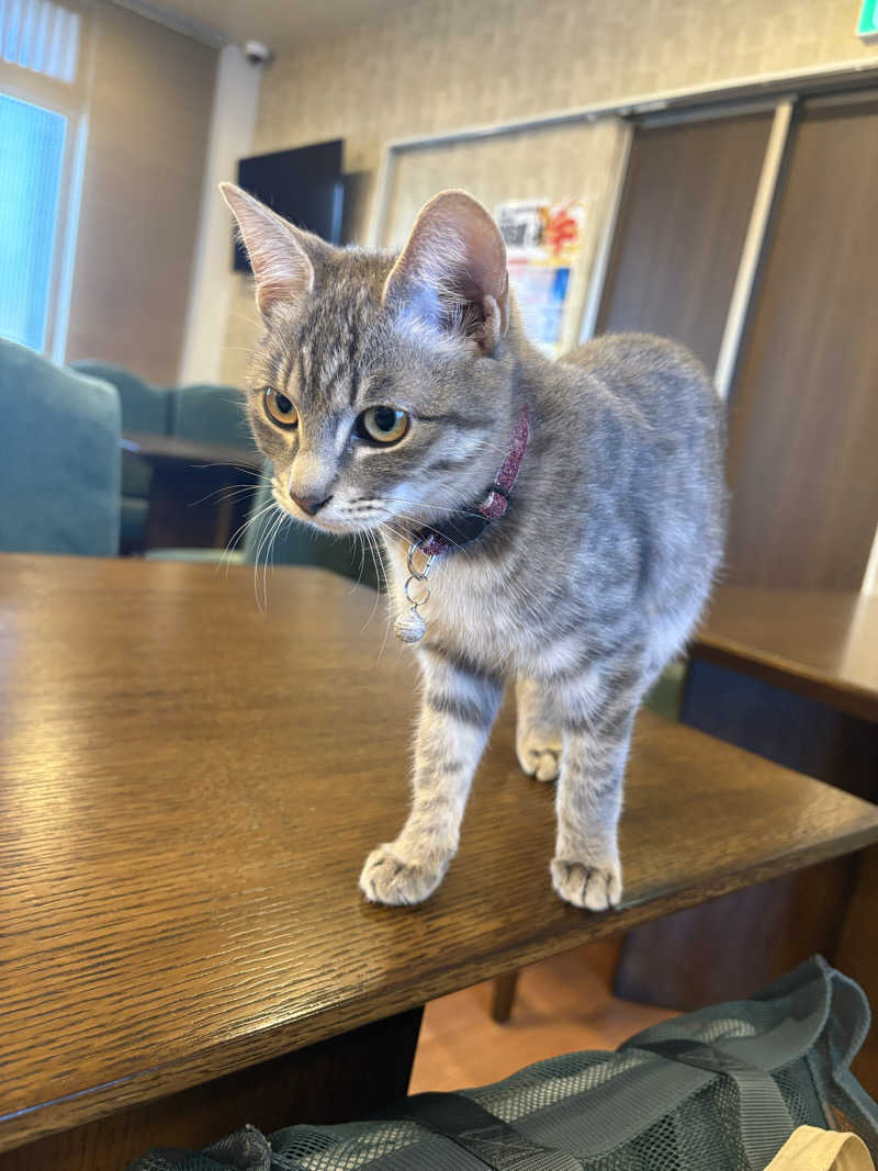 しろくまさんの行田・湯本天然温泉 茂美の湯のサ活写真