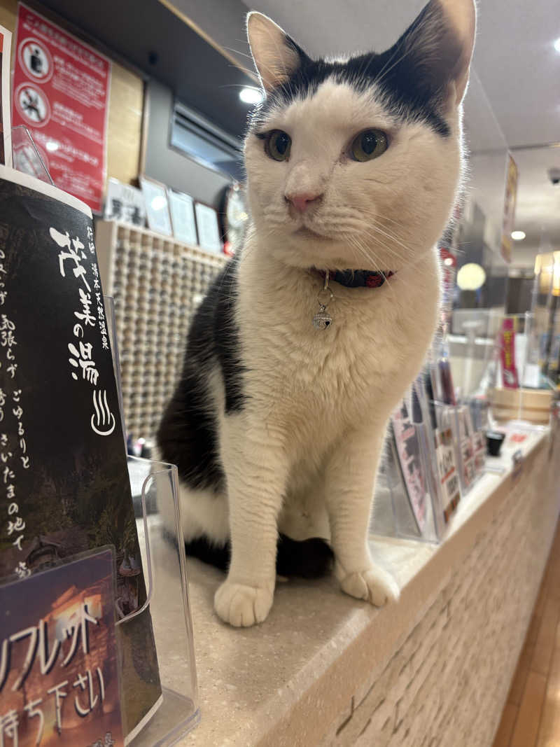 しろくまさんの行田・湯本天然温泉 茂美の湯のサ活写真