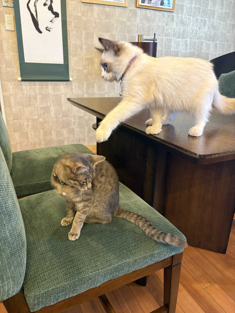 しろくまさんの行田・湯本天然温泉 茂美の湯のサ活写真
