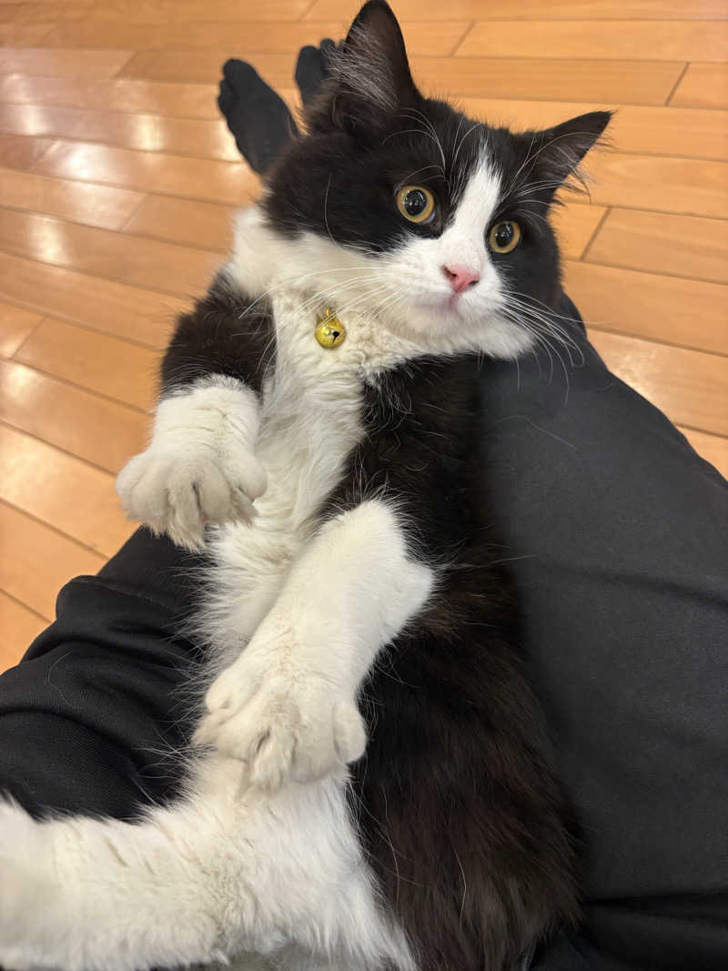 しろくまさんの行田・湯本天然温泉 茂美の湯のサ活写真