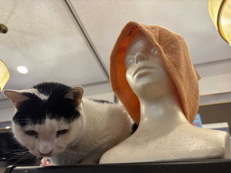 しろくまさんの行田・湯本天然温泉 茂美の湯のサ活写真