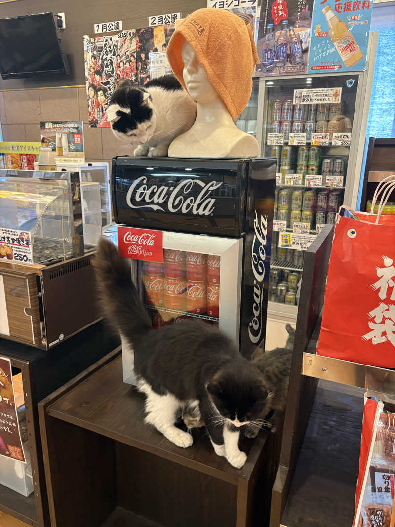 しろくまさんの行田・湯本天然温泉 茂美の湯のサ活写真