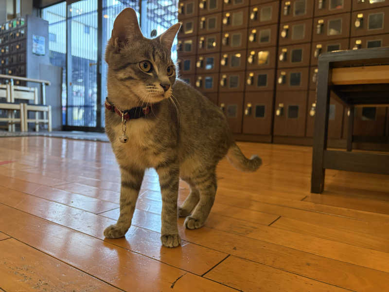 しろくまさんの行田・湯本天然温泉 茂美の湯のサ活写真