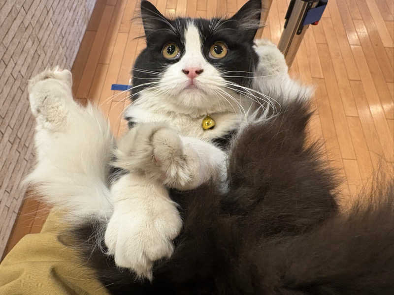 しろくまさんの行田・湯本天然温泉 茂美の湯のサ活写真