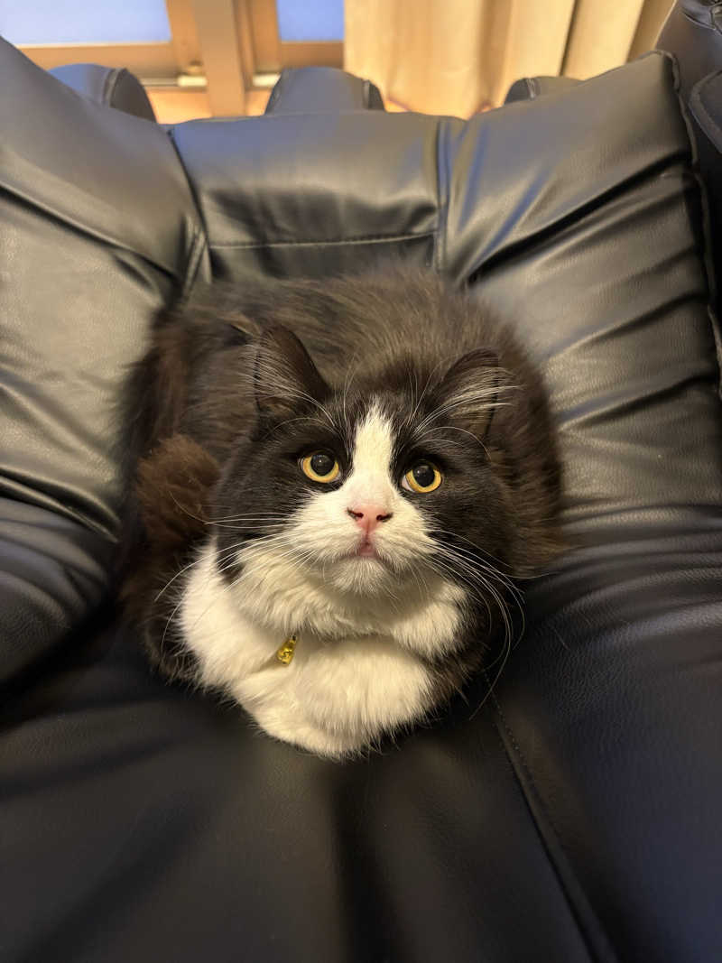 しろくまさんの行田・湯本天然温泉 茂美の湯のサ活写真