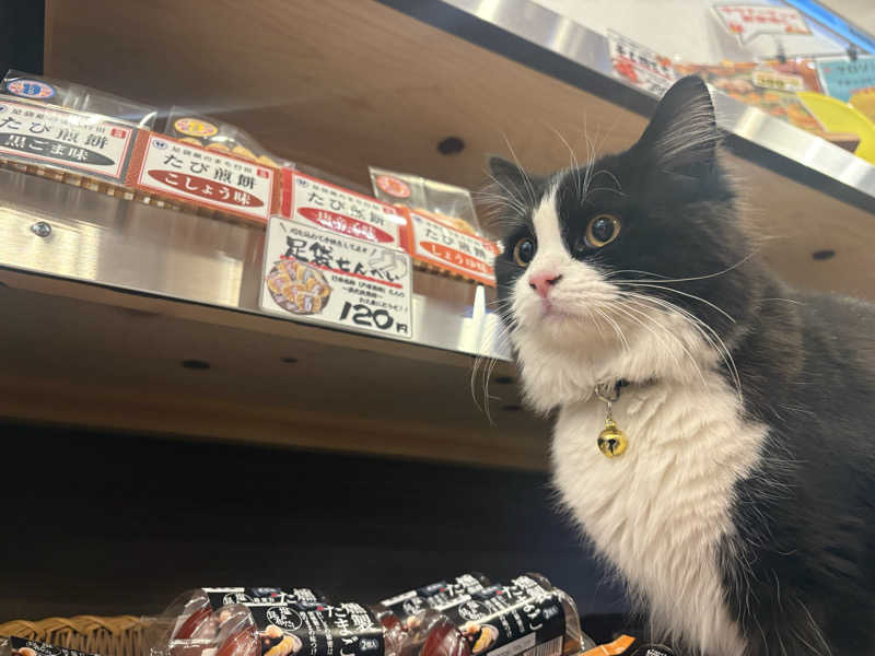 しろくまさんの行田・湯本天然温泉 茂美の湯のサ活写真