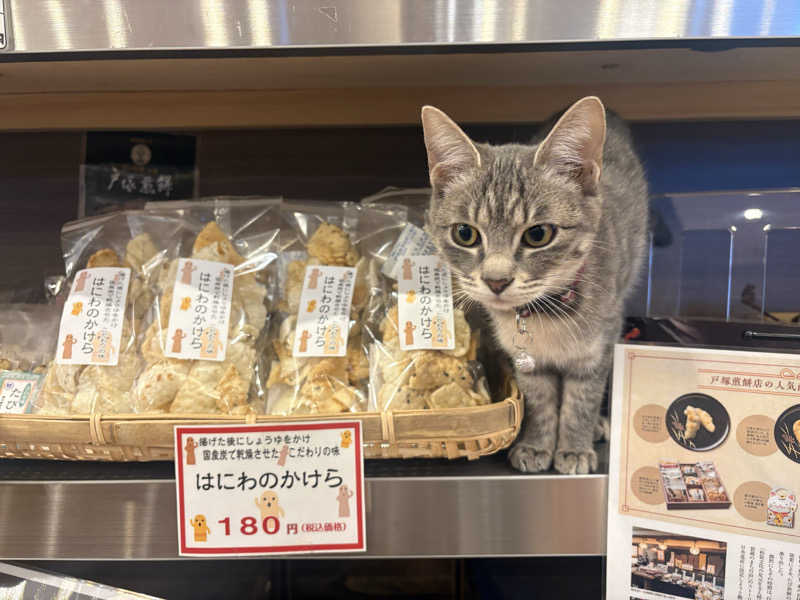 しろくまさんの行田・湯本天然温泉 茂美の湯のサ活写真