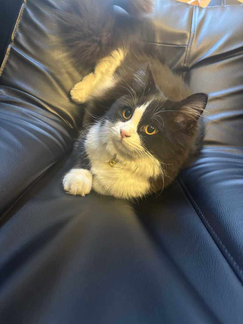 しろくまさんの行田・湯本天然温泉 茂美の湯のサ活写真