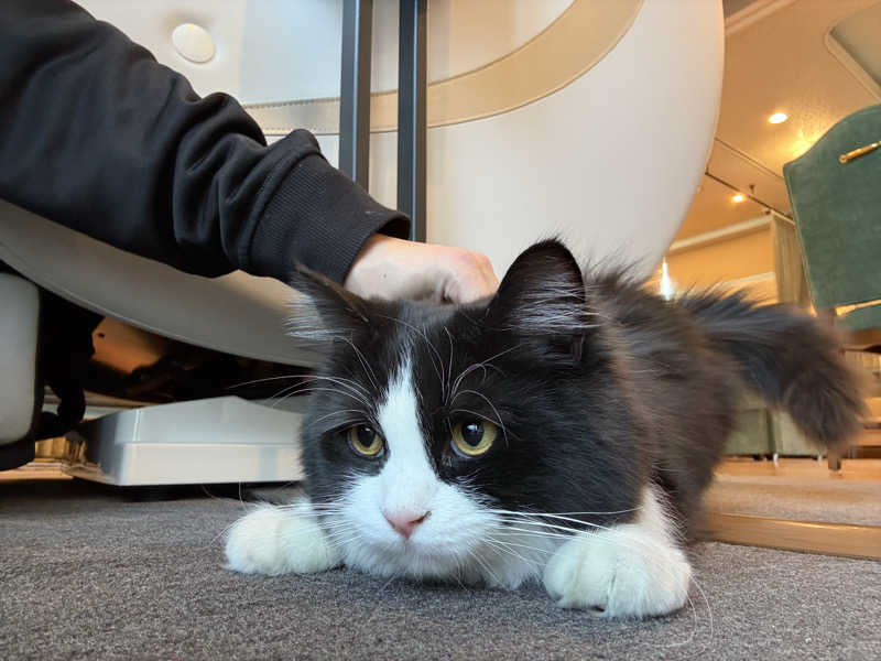 しろくまさんの行田・湯本天然温泉 茂美の湯のサ活写真