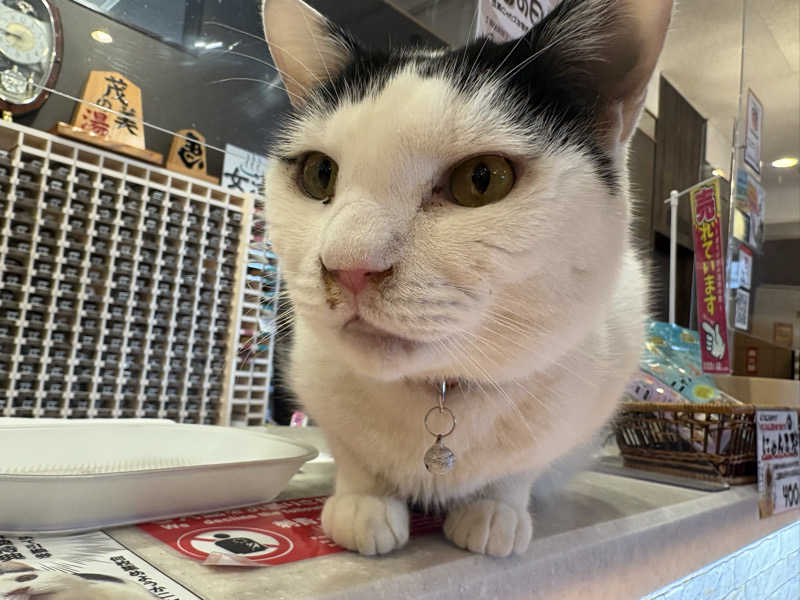 しろくまさんの行田・湯本天然温泉 茂美の湯のサ活写真