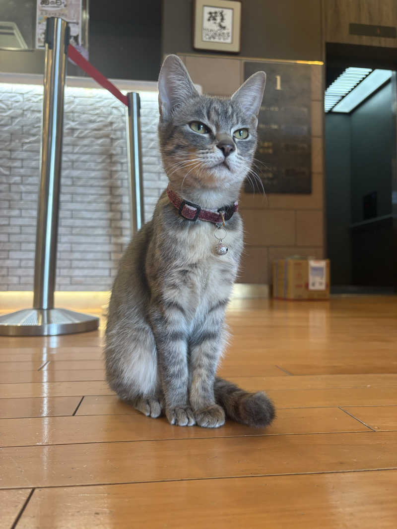 しろくまさんの行田・湯本天然温泉 茂美の湯のサ活写真