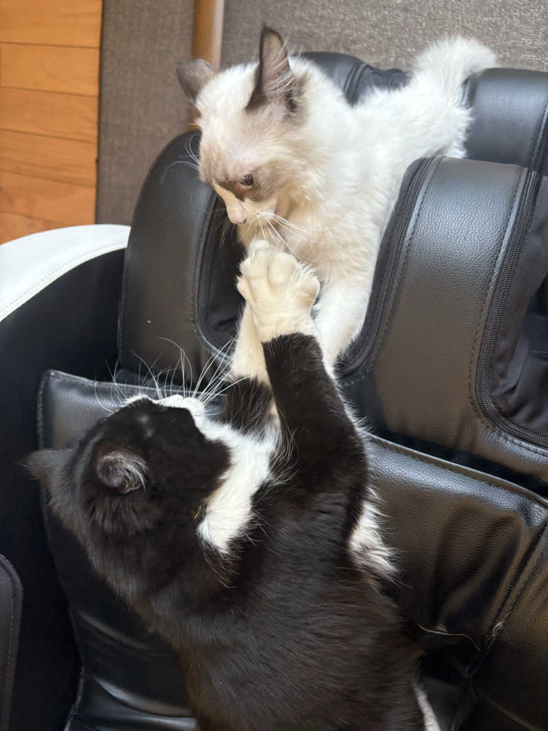しろくまさんの行田・湯本天然温泉 茂美の湯のサ活写真