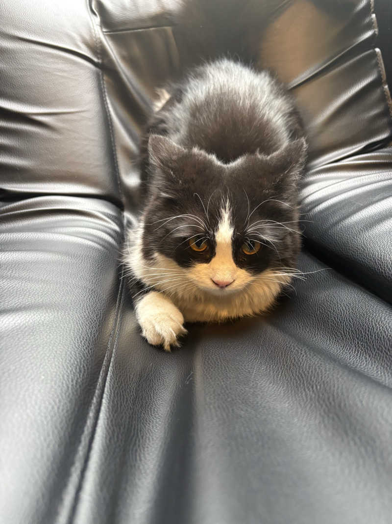 しろくまさんの行田・湯本天然温泉 茂美の湯のサ活写真