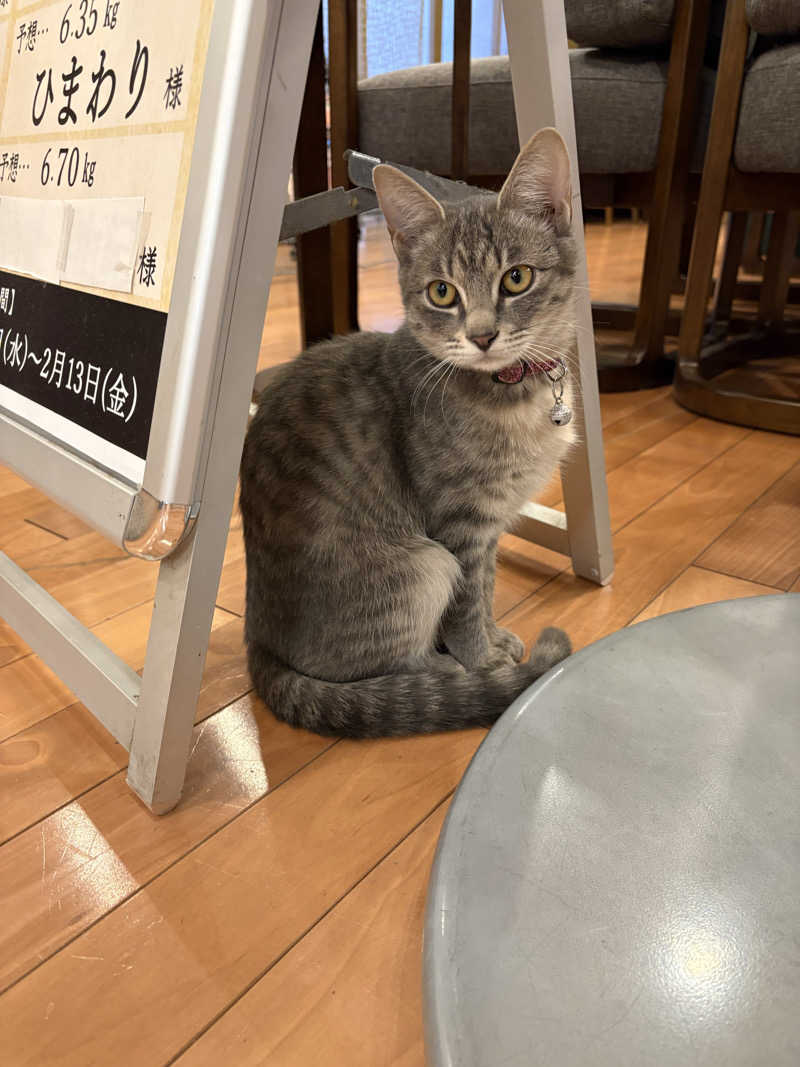 しろくまさんの行田・湯本天然温泉 茂美の湯のサ活写真