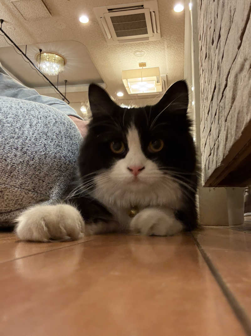 しろくまさんの行田・湯本天然温泉 茂美の湯のサ活写真