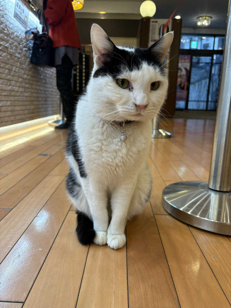 しろくまさんの行田・湯本天然温泉 茂美の湯のサ活写真