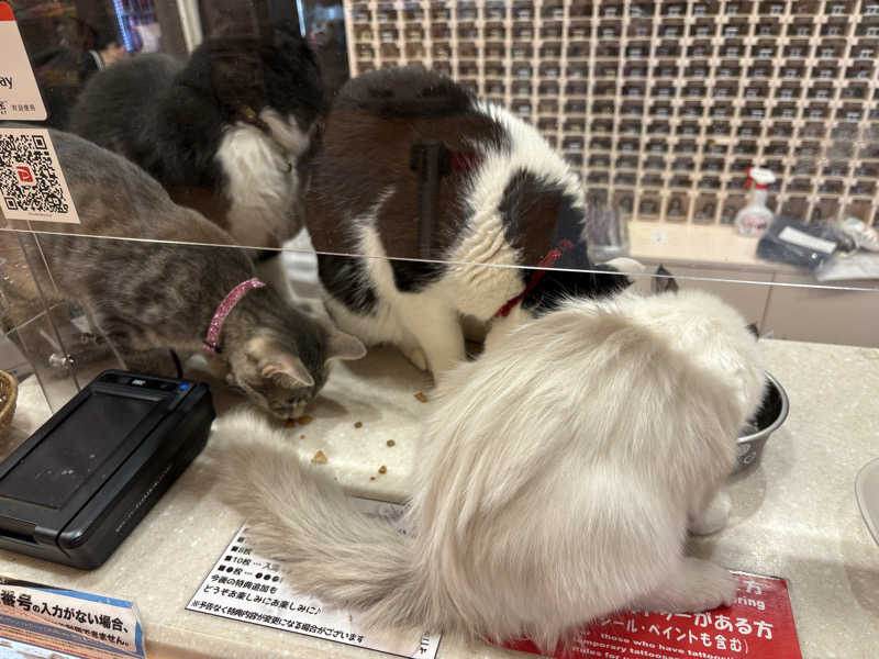 しろくまさんの行田・湯本天然温泉 茂美の湯のサ活写真