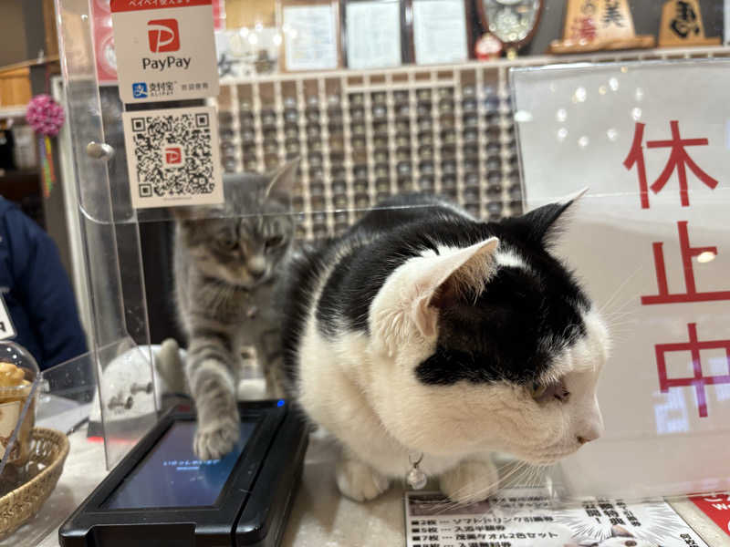 しろくまさんの行田・湯本天然温泉 茂美の湯のサ活写真