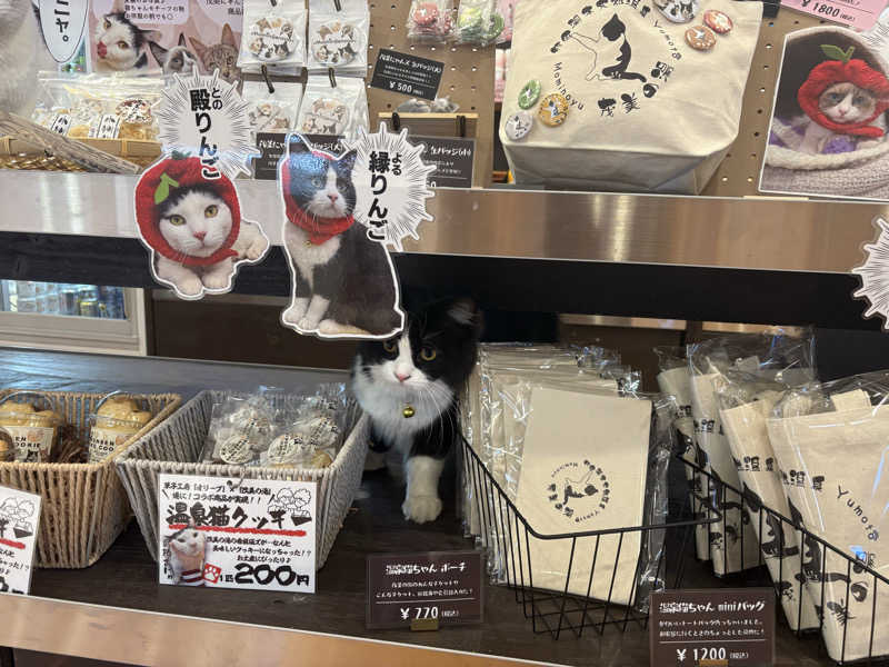 しろくまさんの行田・湯本天然温泉 茂美の湯のサ活写真