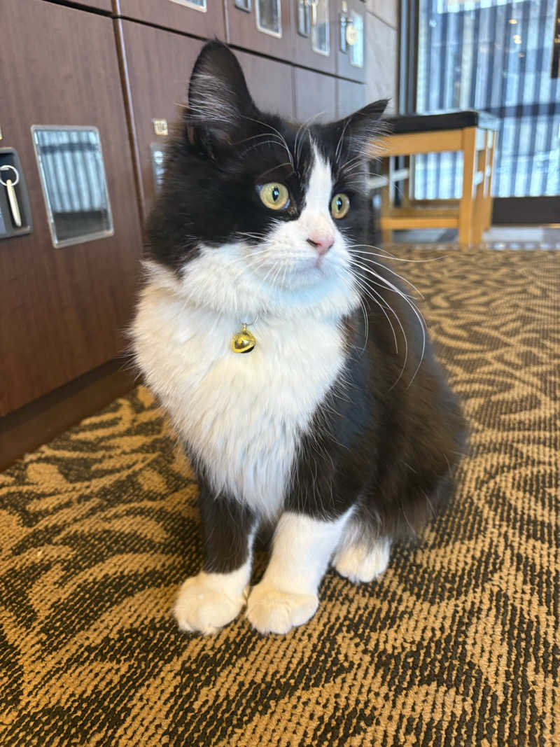しろくまさんの行田・湯本天然温泉 茂美の湯のサ活写真