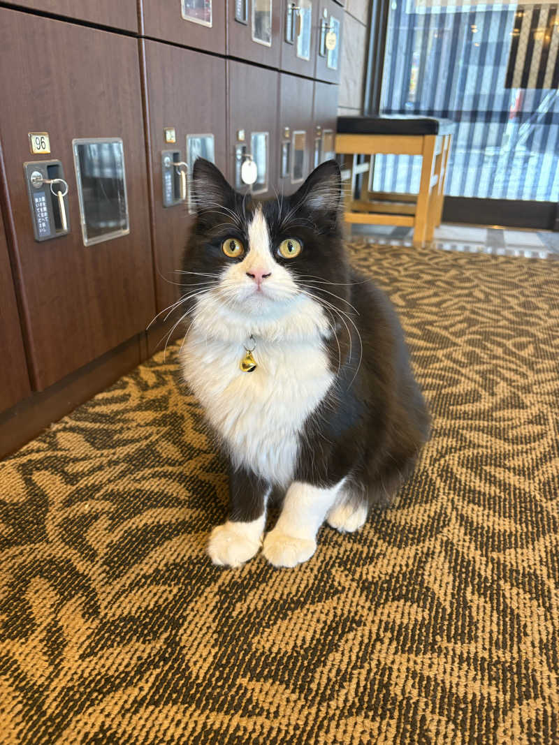 しろくまさんの行田・湯本天然温泉 茂美の湯のサ活写真