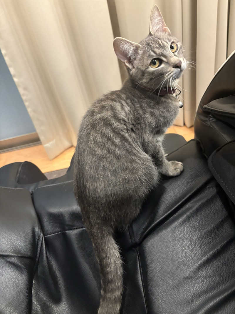 しろくまさんの行田・湯本天然温泉 茂美の湯のサ活写真