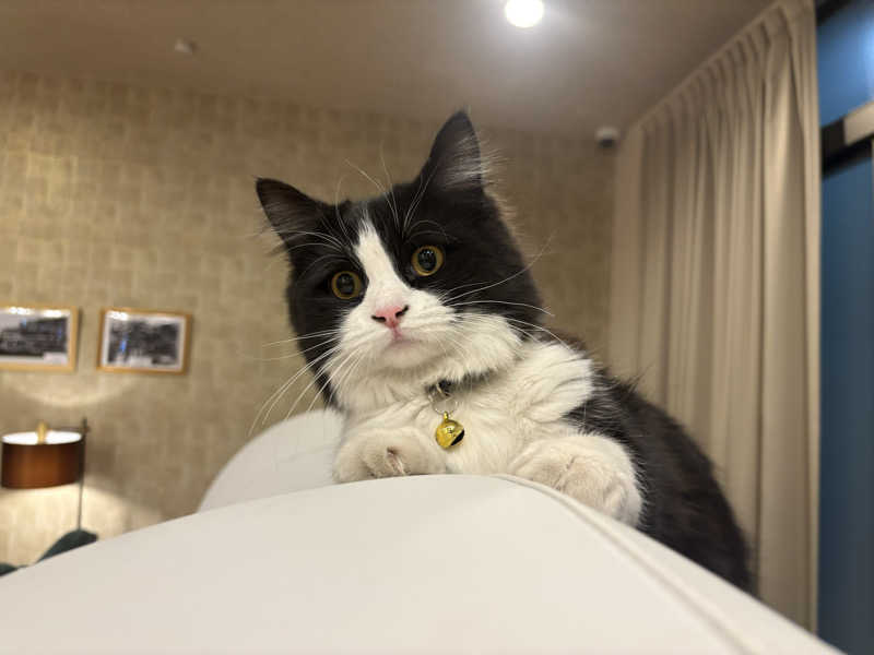 しろくまさんの行田・湯本天然温泉 茂美の湯のサ活写真