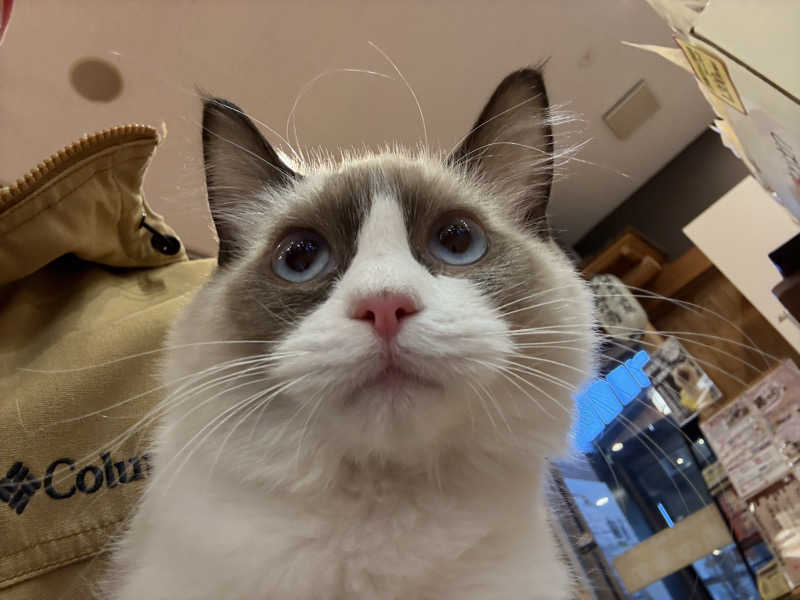 しろくまさんの行田・湯本天然温泉 茂美の湯のサ活写真