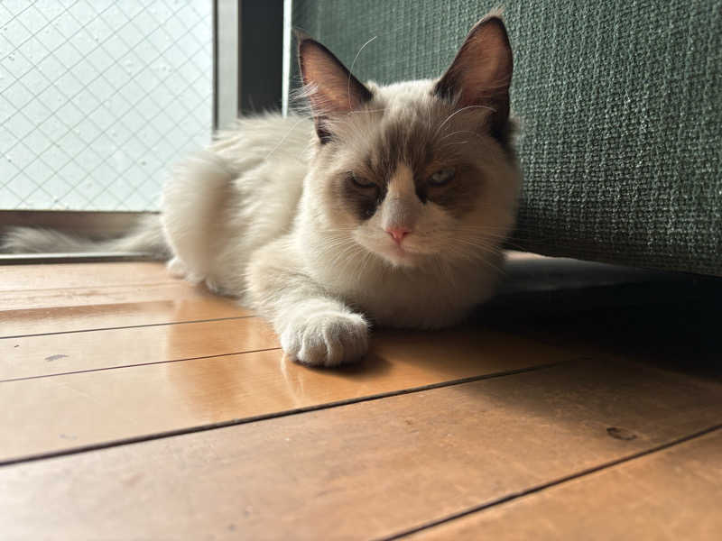 しろくまさんの行田・湯本天然温泉 茂美の湯のサ活写真