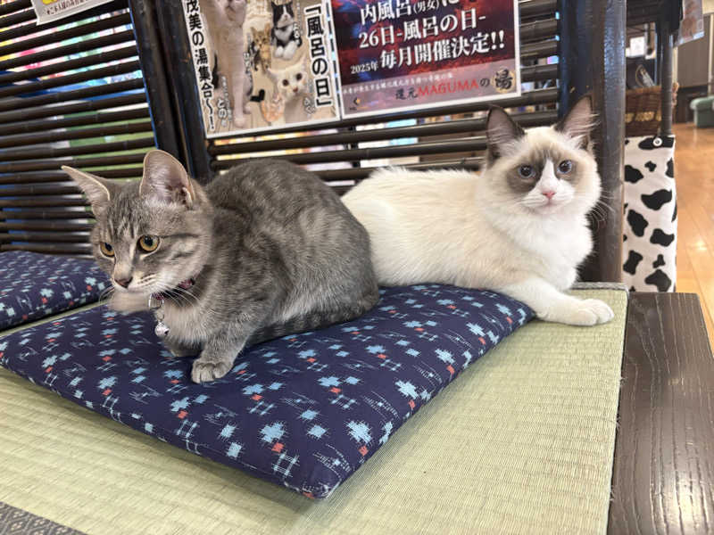 しろくまさんの行田・湯本天然温泉 茂美の湯のサ活写真