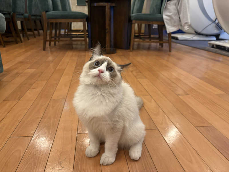 しろくまさんの行田・湯本天然温泉 茂美の湯のサ活写真