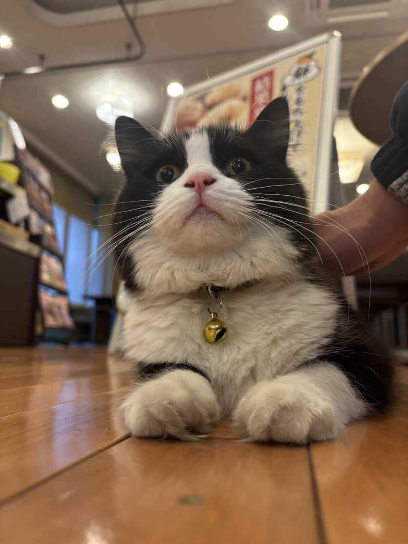 しろくまさんの行田・湯本天然温泉 茂美の湯のサ活写真