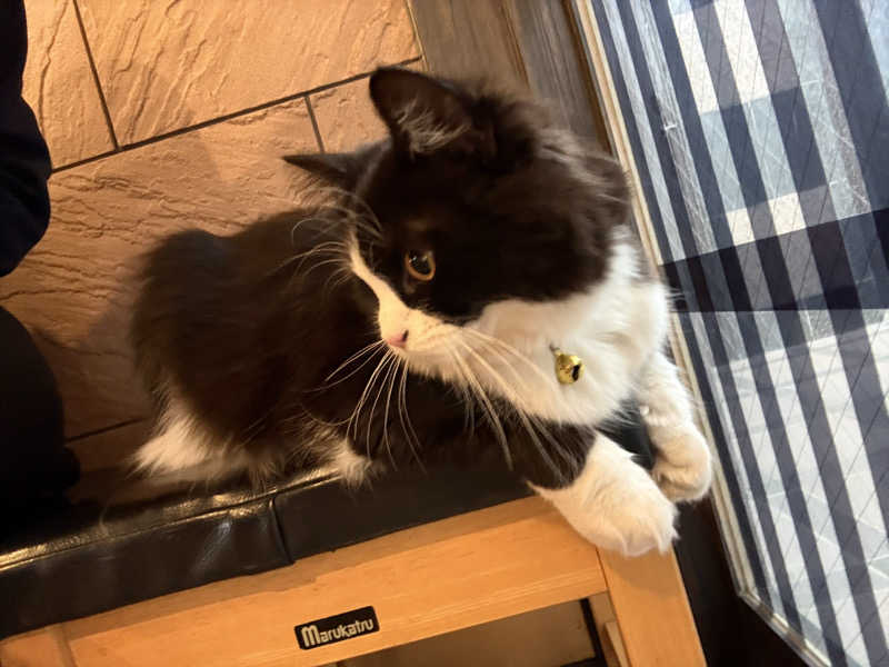 しろくまさんの行田・湯本天然温泉 茂美の湯のサ活写真