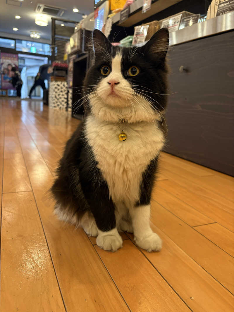 しろくまさんの行田・湯本天然温泉 茂美の湯のサ活写真